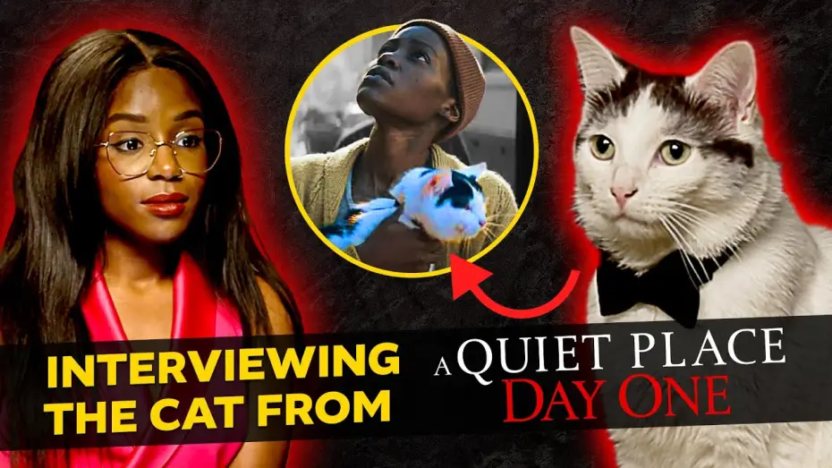 Видео к фильму Тихое место: День первый | An Exclusive Interview with The Cat from A Quiet Place: Day One