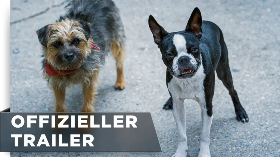 Видео к фильму Отвязные дворняги | Offizieller Trailer #3