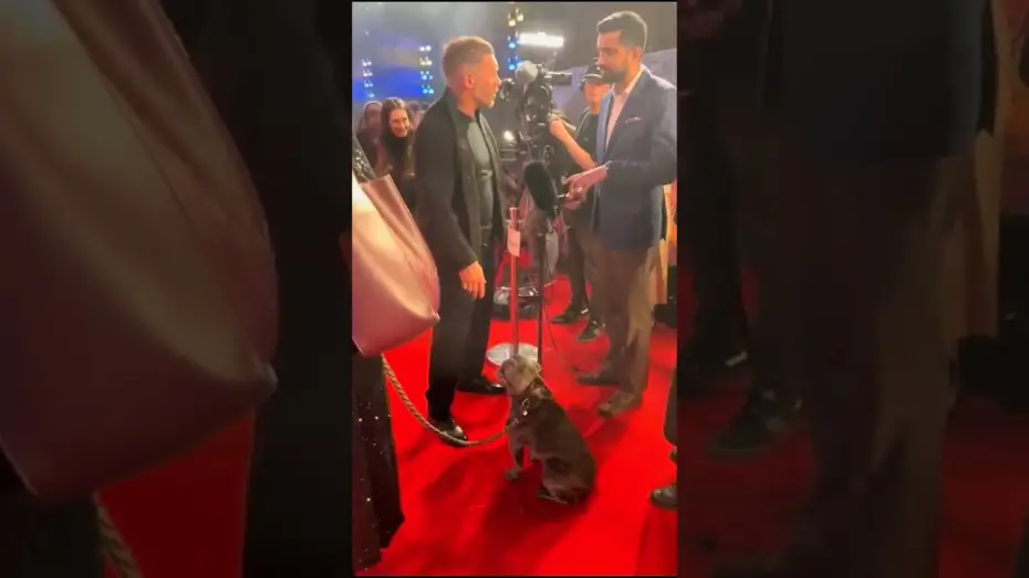 Видео к фильму Веном 3 | A VIP cutie patootie 🖤 Blue stole our hearts