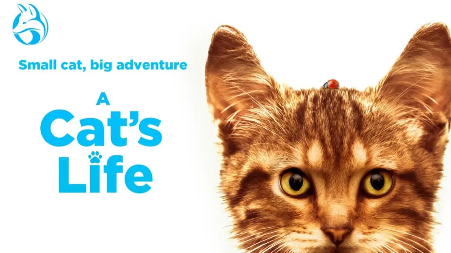 Видео к фильму A Cat's Life | Official US Trailer [Dubbed]