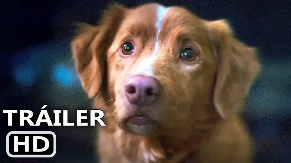 Видео к фильму Хороший мальчик | GOOD BOY Tr&aacute;iler Espa&ntilde;ol Subtitulado (2025) Terror