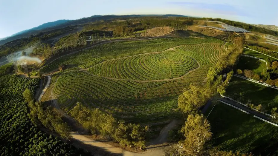 Видео к фильму The Biggest Little Farm | The Biggest Little Farm - Official Trailer Canada