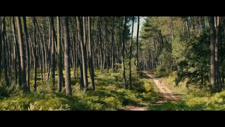 Видео к фильму Тереза Д. | Trailer TH&Eacute;R&Egrave;SE (Deutsch) mit Audrey Tautou