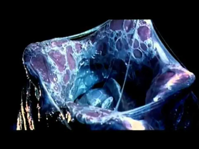 Видео к фильму Чужой против Хищника | alien vs predator trailer ita