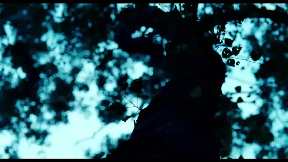 Видео к фильму Лоре | Trailer