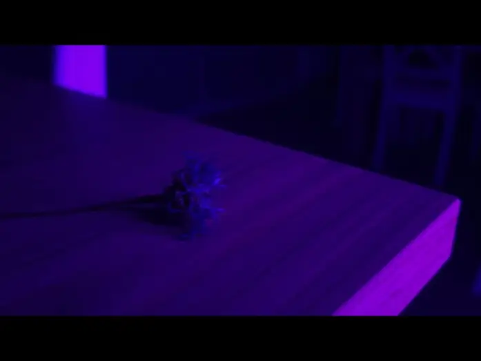 Видео к фильму Centaurea | Centaurea | Teaser &ndash; Film ind&eacute;pendant r&eacute;alis&eacute; au t&eacute;l&eacute;phone