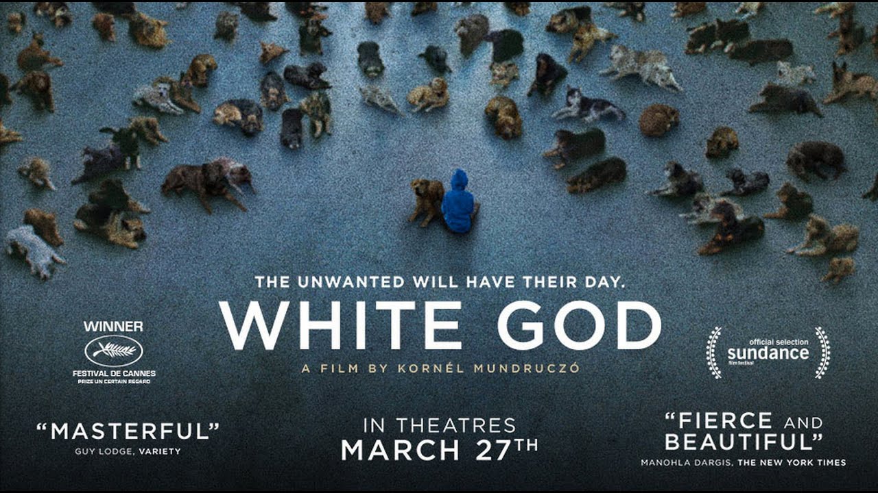Видео к фильму Белый Бог | White God - Official Trailer