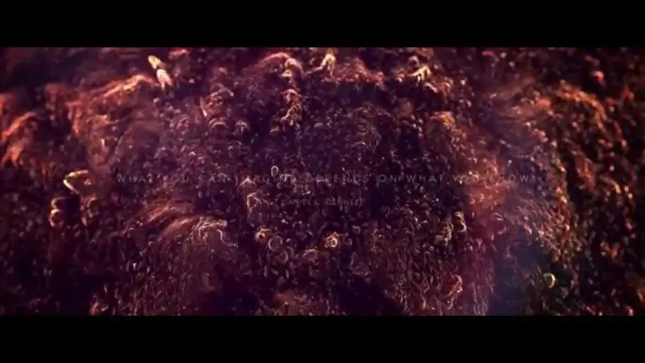 Видео к фильму По воскресеньям | Sundays Teaser #2