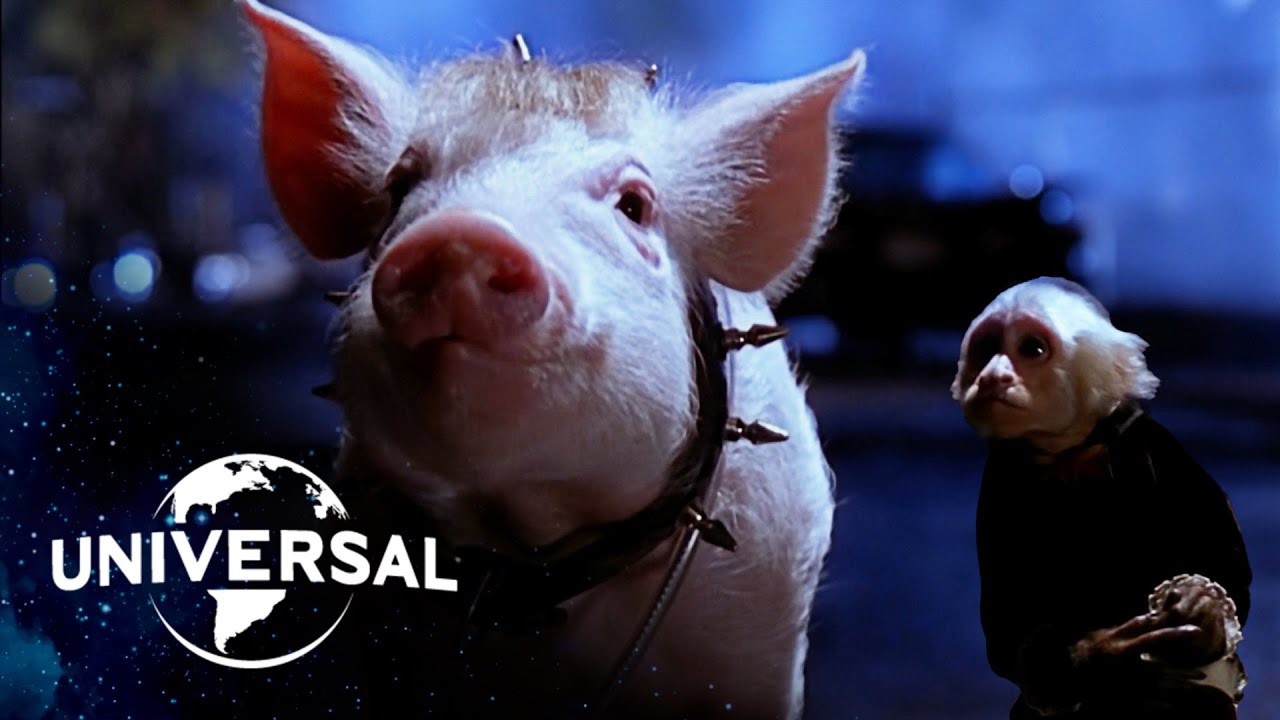 Видео к фильму Бэйб: Поросенок в городе | Babe Escapes