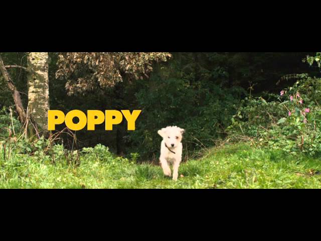 Видео к фильму Раз! Два! Три! Умри! | Official Theatrical trailer