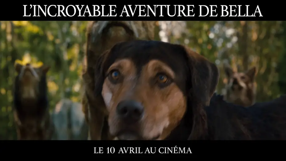 Видео к фильму Путь домой | L&rsquo;Incroyable Aventure de Bella - TV SPOT "Challenge" VF