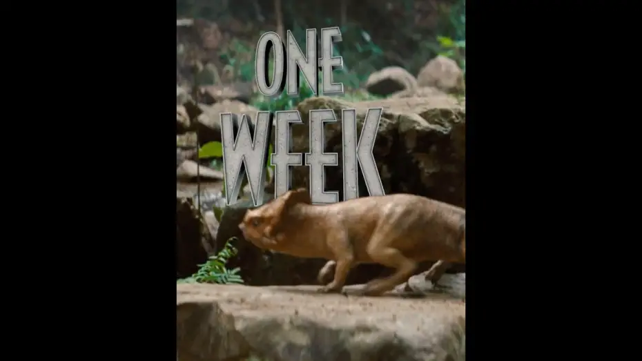 Видео к фильму Jurassic World Rebirth | You ready? Jurassic World Rebirth hits theaters in ONE WEEK. Get your tickets now!