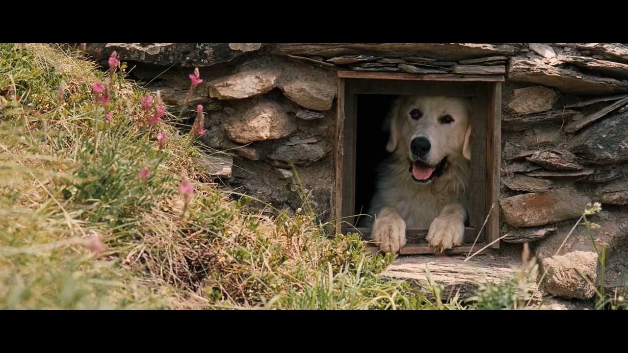 Видео к фильму Белль и Себастьян | Belle and S&eacute;bastien (2013) - Trailer English Subs