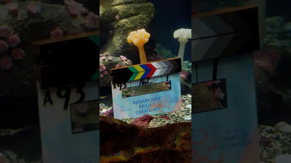Видео к фильму Remarkably Bright Creatures | that's a wrap on Remarkably Bright Creatures