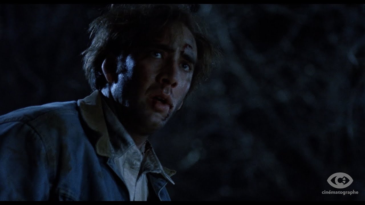 Видео к фильму Придорожное заведение | Cin&eacute;matographe Blu-ray Promo Trailer