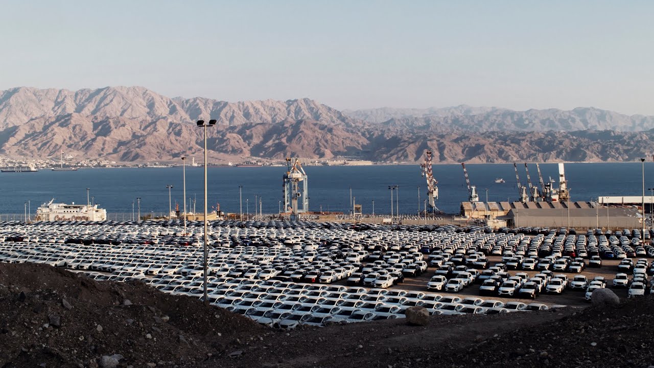 Видео к фильму sr | sr &ndash; trailer | IFFR 2024