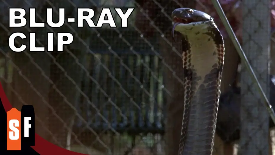 Видео к фильму Ссссссс | Sssssss (1973) - Clip (HD)