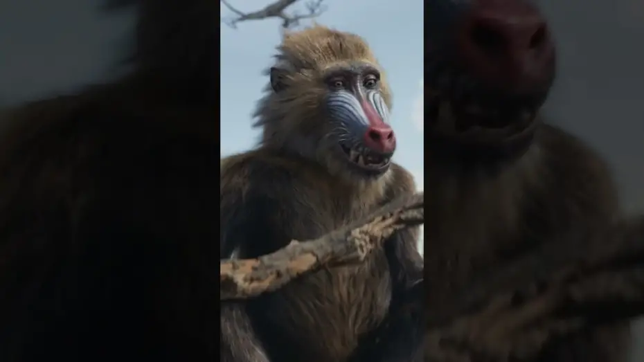 Видео к фильму Mufasa: The Lion King | Be the First to Watch at Home Today. Buy It Now Only On Digital