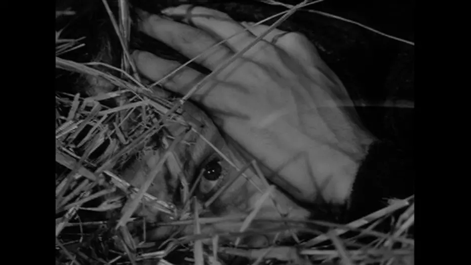 Видео к фильму Восхождение | The Ascent - Hiding from the Nazis