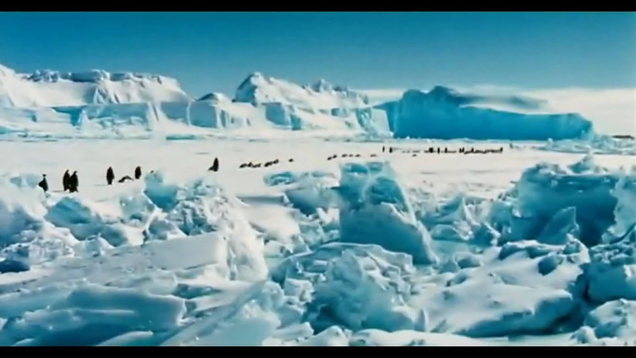 Видео к фильму Марш пингвинов | March Of The Penguins Trailer [HD]
