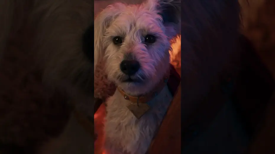 Видео к фильму Супергёрл | You had me at woof.