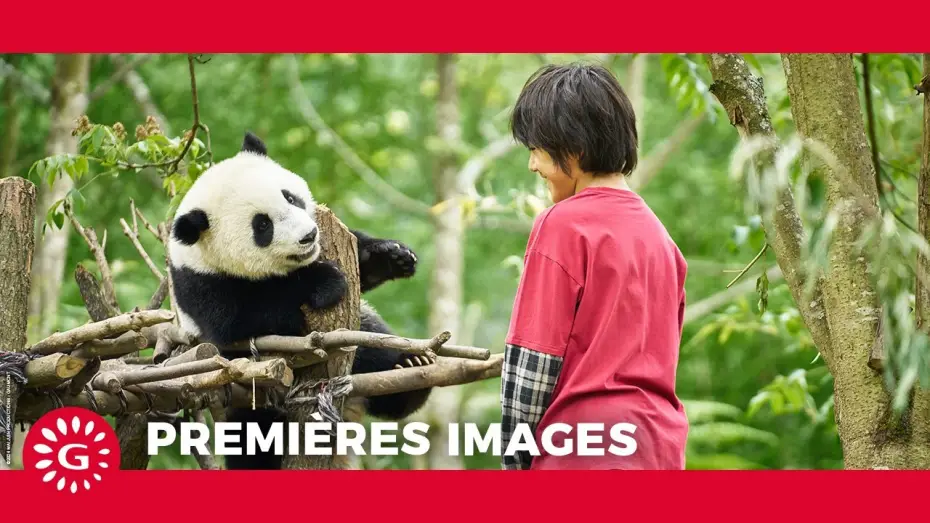 Видео к фильму Моя панда | MOON LE PANDA - Premi&egrave;res images [Le 9 avril au cin&eacute;ma ]