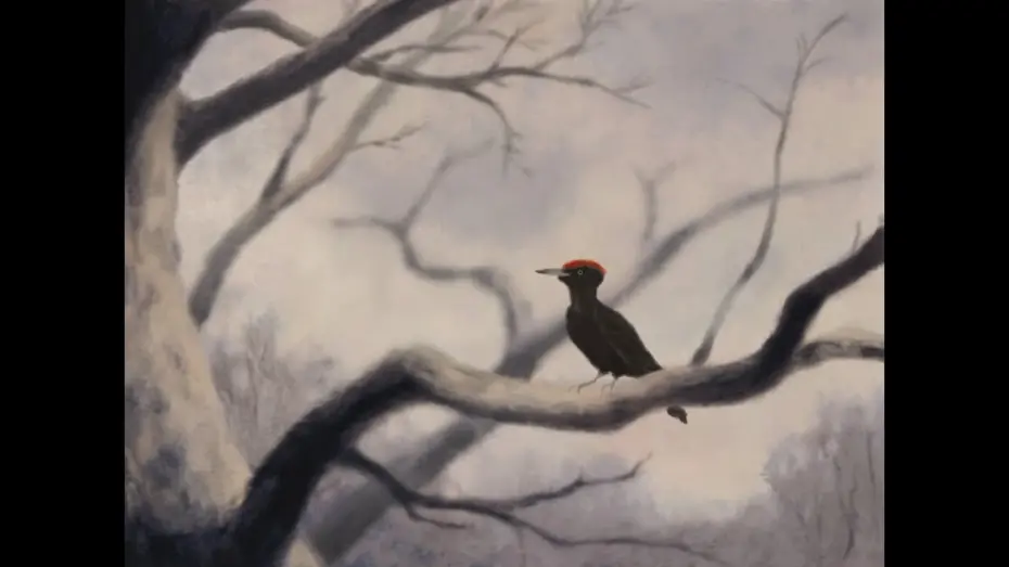 Видео к фильму Almagre | ALMAGRE - Annecy Festival 2024