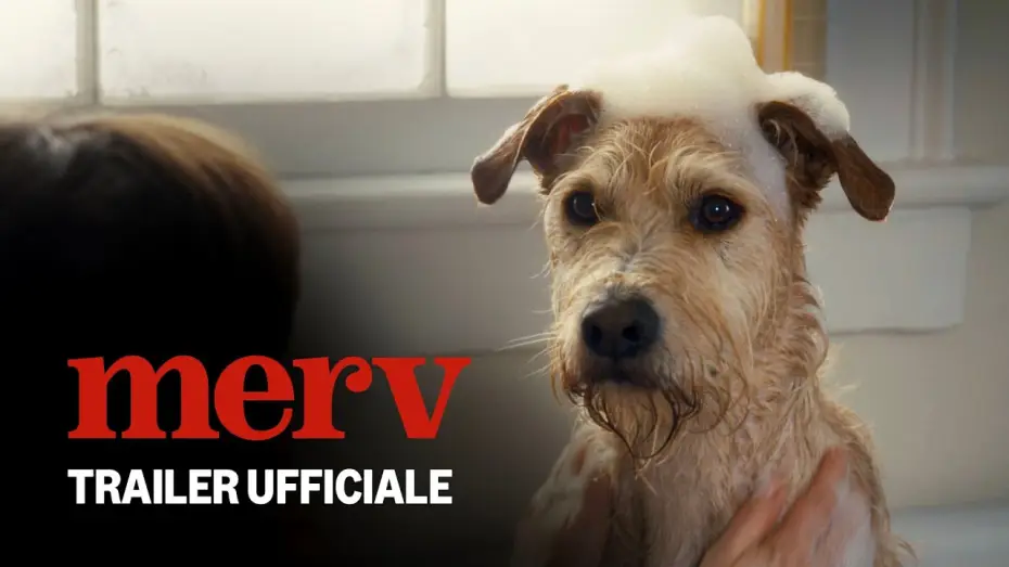 Видео к фильму Мерф | Merv | Trailer Ufficiale | Prime Video