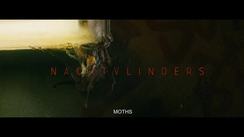 Видео к фильму Мотыльки | Night Creatures - Trailer