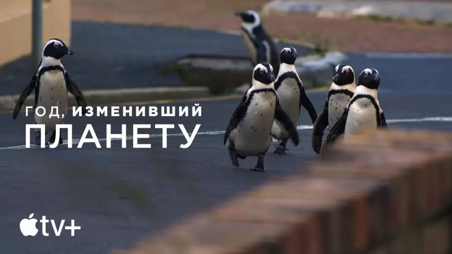 Видео к фильму Год, изменивший планету | Официальный трейлер [Субтитры]