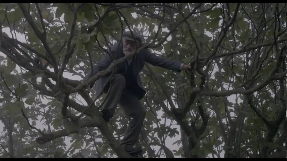 Видео к фильму Fig | Fig (Trailer)