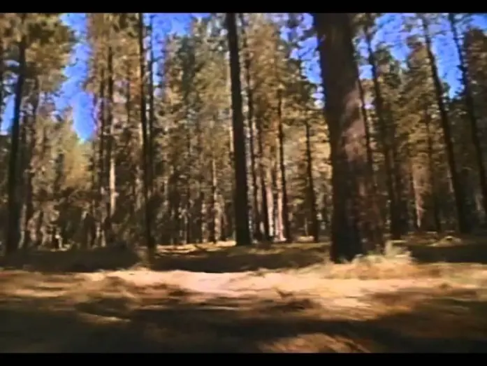 Видео к фильму Игра на выживание | Surviving The Game Trailer 1994