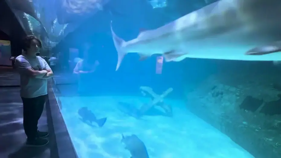 Видео к фильму A Summer Story | A Summer Story trailer