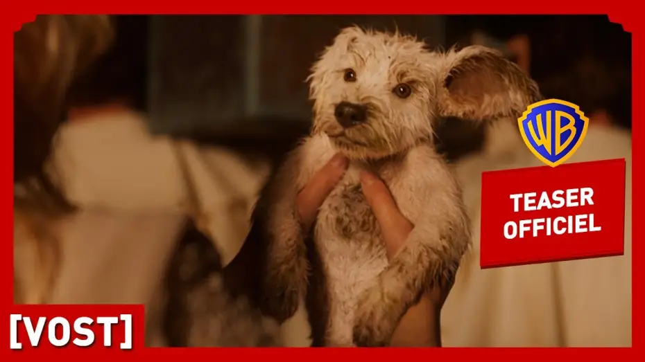 Видео к фильму Супергёрл | Supergirl | Teaser Krypto (VOST) | Milly Alcock, Jason Momoa