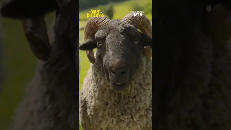 Видео к фильму Следствие ведут овечки | Sheep TV Spot