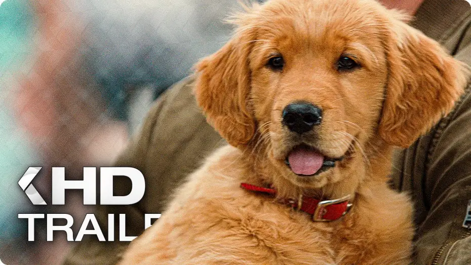 Видео к фильму Невероятный мир глазами Энцо | ENZO UND DIE WUNDERSAME WELT DER MENSCHEN Trailer German Deutsch (2019)