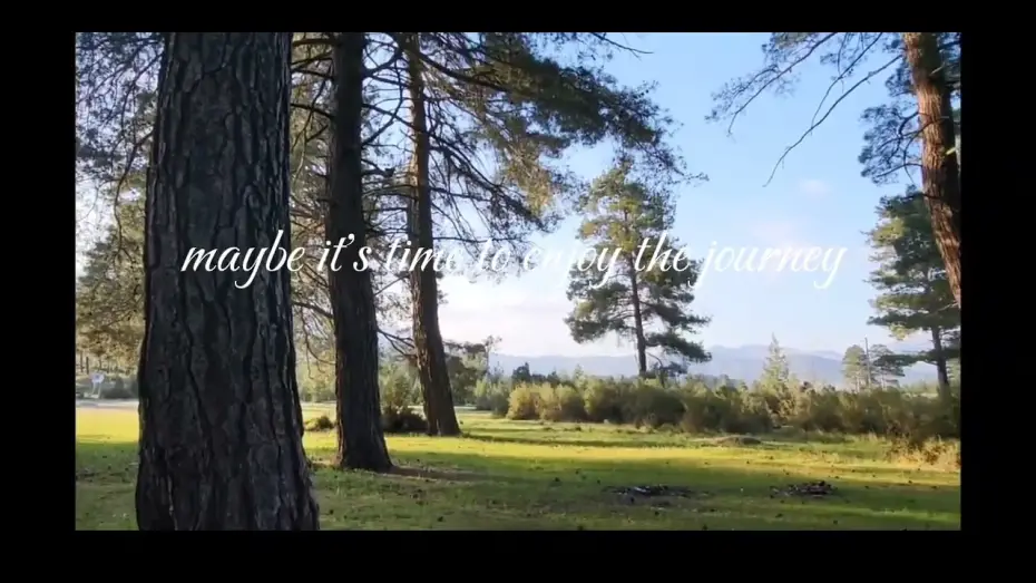 Видео к фильму When I'm Gone | When I'm gone I'd like to be a part of the trees  feeling the breeze while the birds freely singing