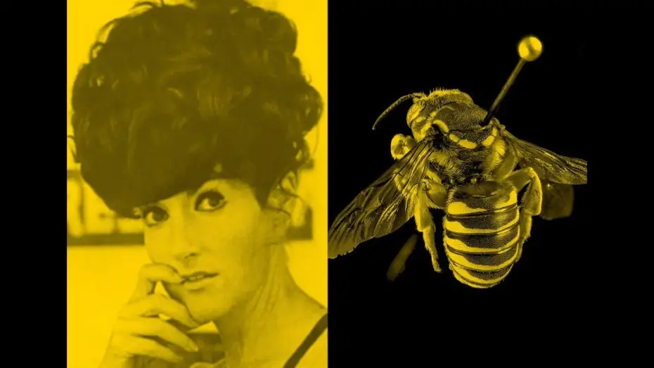Видео к фильму The Beehive | The Beehive | Zanny Begg