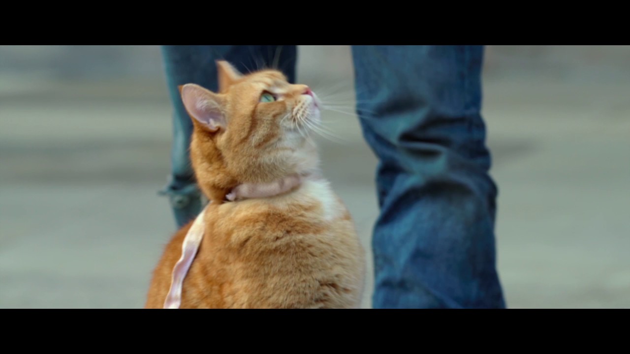Видео к фильму Уличный кот по кличке Боб | A Street Cat Named Bob - Getting the Punters In Clip - At Cinemas Now