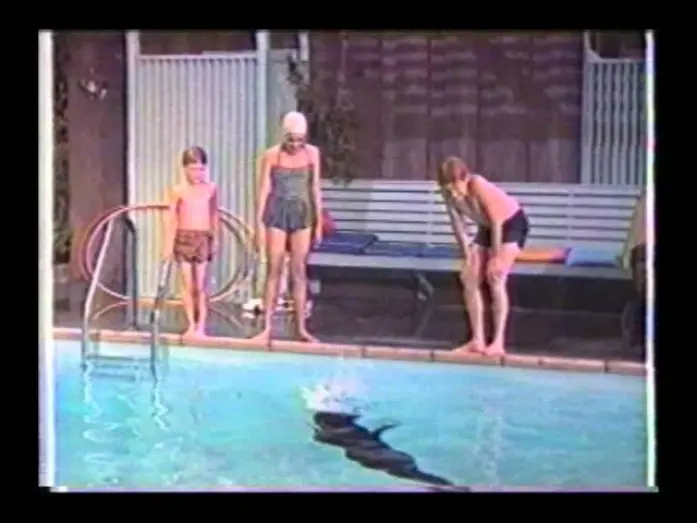 Видео к фильму Sammy, the Way-Out Seal | Sammy the Way-Out Seal trailer.wmv