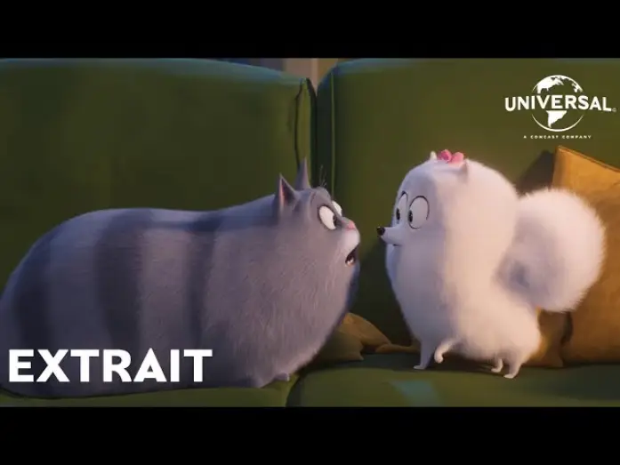 Видео к фильму Тайная жизнь домашних животных 2 | Comme des B&ecirc;tes 2 - Extrait : "Gidget remarque quelque chose" VF