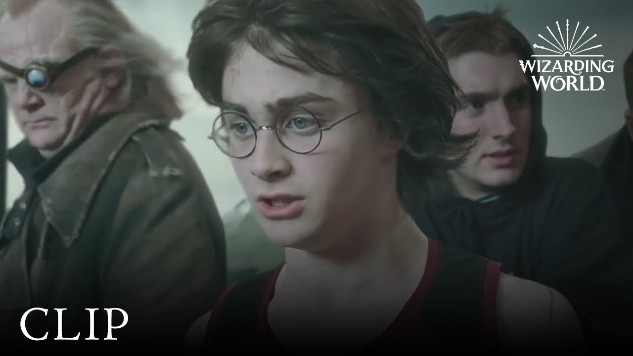 Видео к фильму Гарри Поттер и Орден Феникса | Harry's Gillyweed Transformation | Harry Potter and the Goblet of Fire