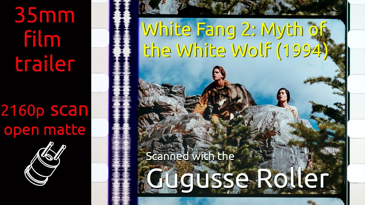 Видео к фильму Белый клык 2: Легенда о белом волке | White Fang 2: Myth of the White Wolf (1994) 35mm film trailer, flat open matte, 2160p