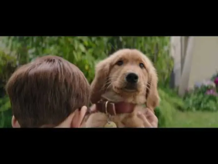 Видео к фильму Собачья жизнь | MES VIES DE CHIENS - Extrait - "Bailey, Bailey, Bailey" - VF