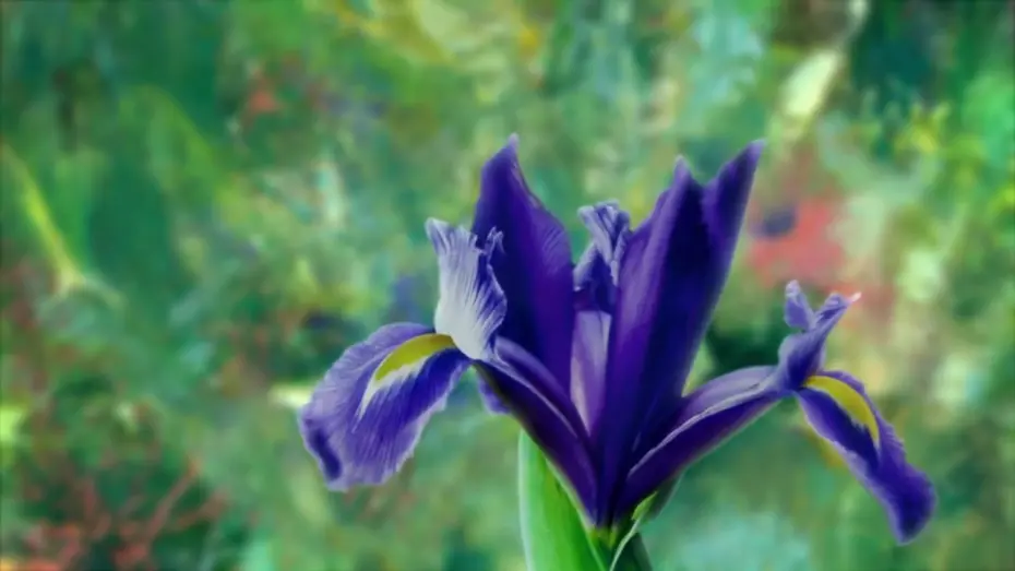 Видео к фильму Painting the Modern Garden: Monet to Matisse | Watch the trailer for 'Painting the Modern Garden: Monet to Matisse'