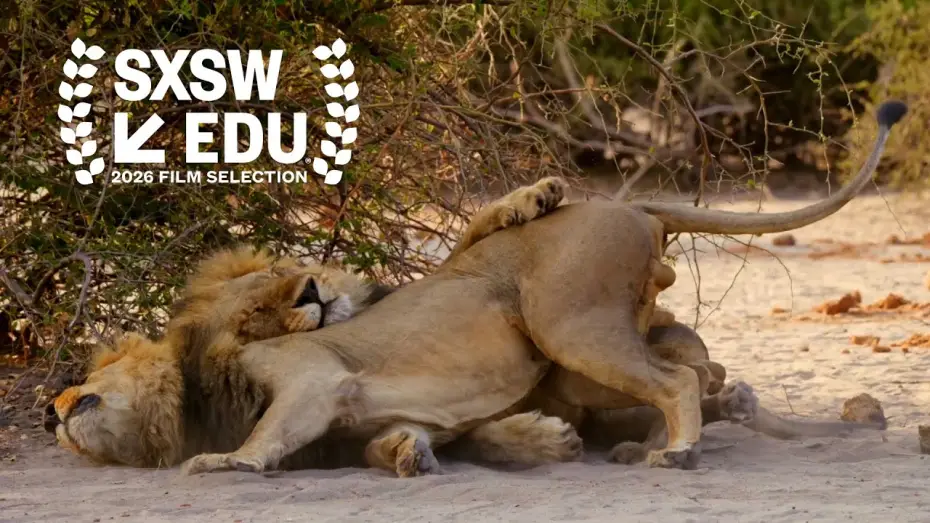 Видео к фильму Second Nature: Gender and Sexuality in the Animal World | Second Nature - Official Trailer