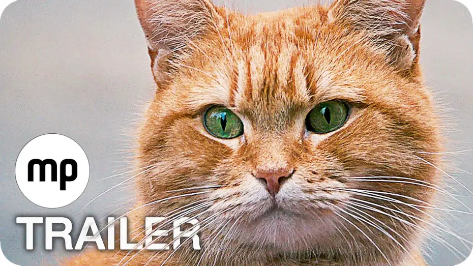 Видео к фильму Уличный кот по кличке Боб | BOB DER STREUNER Trailer German Deutsch (2017)