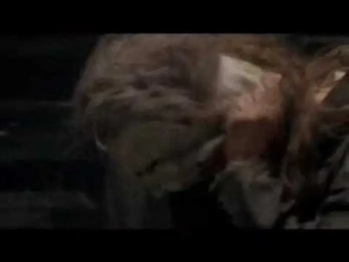 Видео к фильму Хэллоуин 2007 — Halloween 2007 Trailer German High Qualität