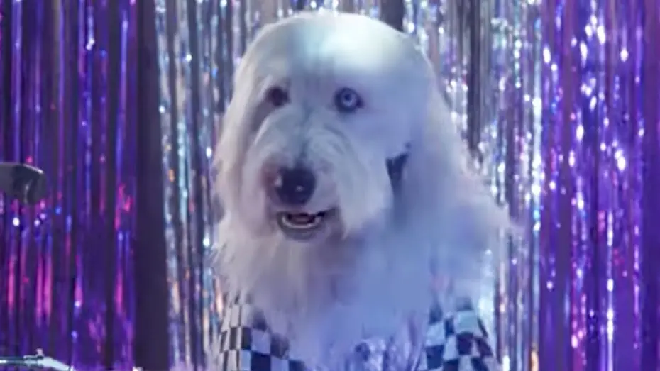 Видео к фильму Pup Star: Better 2Gether | Music Video - Shake Your Tail