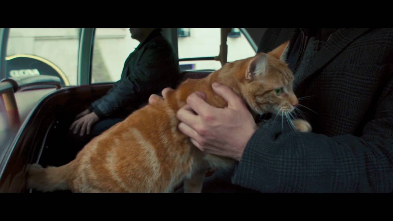 Видео к фильму Уличный кот по кличке Боб | A Street Cat Named Bob - Bus Clip - At Cinemas November 4